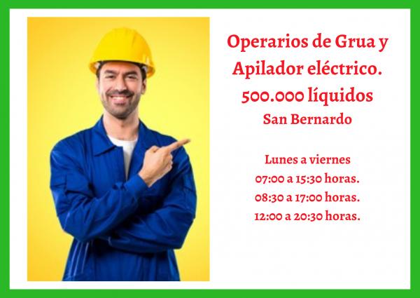 OPERARIOS DE GRUA Y APILADOR ELECTRICO