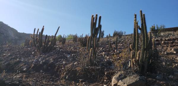 PARCELA COLINA EN ALTURA PORTEZUELO