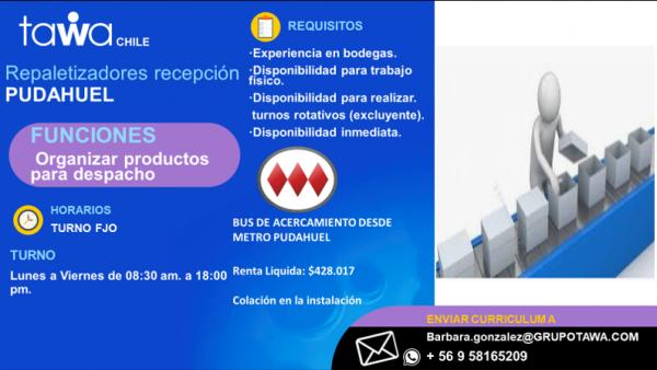 REPALETIZADORES RECEPCION