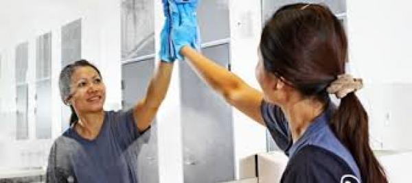 PRODUCCION Y AUXILIAR  PARA SAN BERNARDO