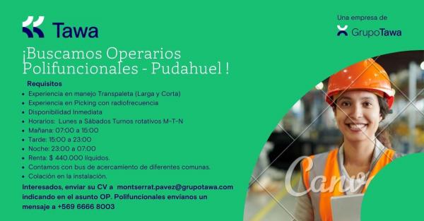 OPERARIO POLIFUNCIONAL - PUDAHUEL