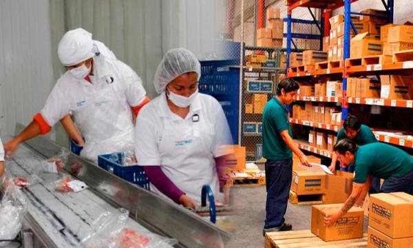 PERSONAL PARA BODEGA (OPERARIAS)
