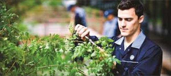AYUDANTE EN JARDINERIA (QUILICURA)
