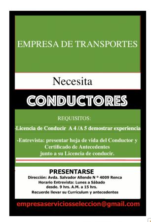 CONDUCTORES PROFESIONALES