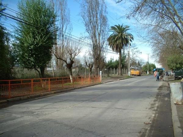 TERRENO 27.850 METROS EN TENO