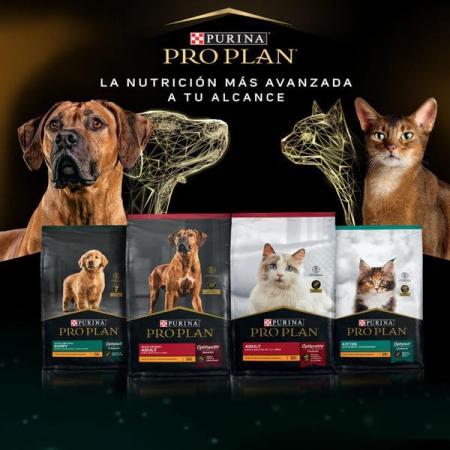 ALIMENTOS PROPLAN