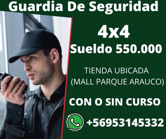 GUARDIA DE SEGURIDAD TIENDAS 4X4
