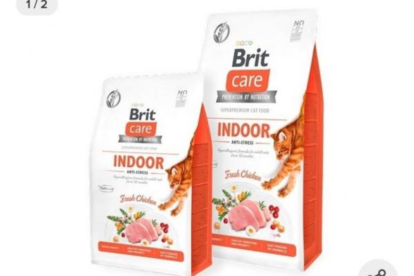 BRITCARE GATO 