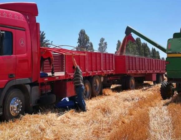 VENDO BARANDAS CAMIÓN Y CARRO