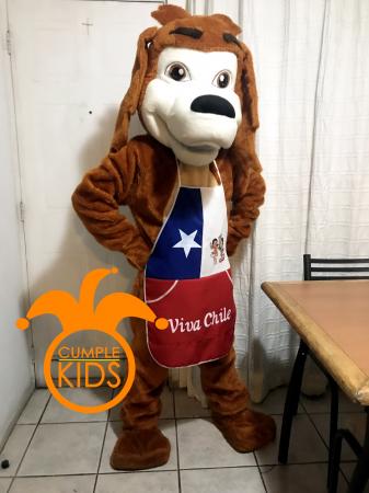 ARRIENDA TU DISFRAZ DE PERRO CHOCOLO