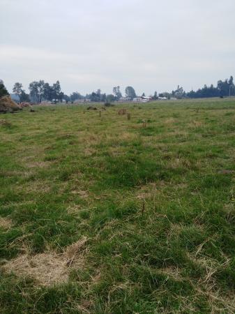 SE VENDE TERRENO 
