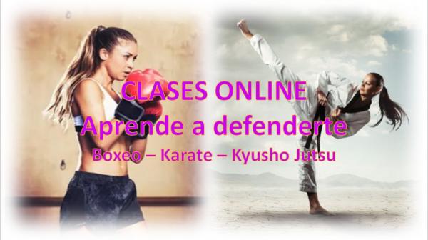 CLASES ONLINE DEFENSA PERSONAL
