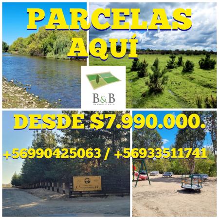 PARCELAS PLANAS CAUQUENES