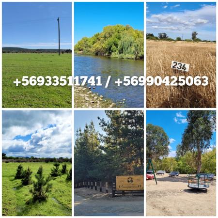 PROYECTOS PARCELA 7MA REGION