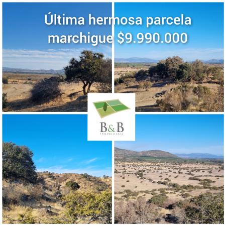 ÚLTIMA PARCELA DISPONIBLE MARCHIGUE 