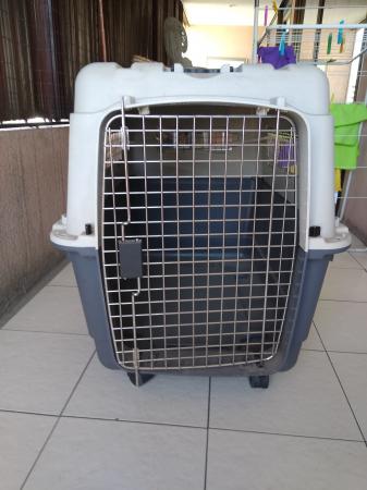 TRANSPORTADORA PETMATE