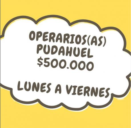 Operario/a 500000 Pudahuel