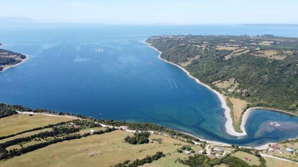 8.32 HECTÁREAS ISLA HUAR X REGIÓN 