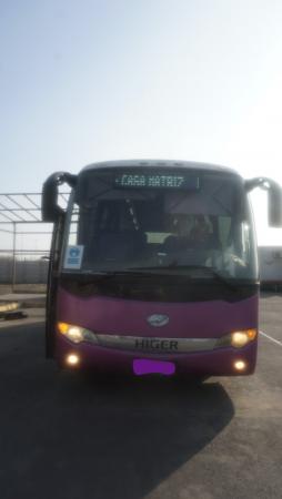 BUS HIGER