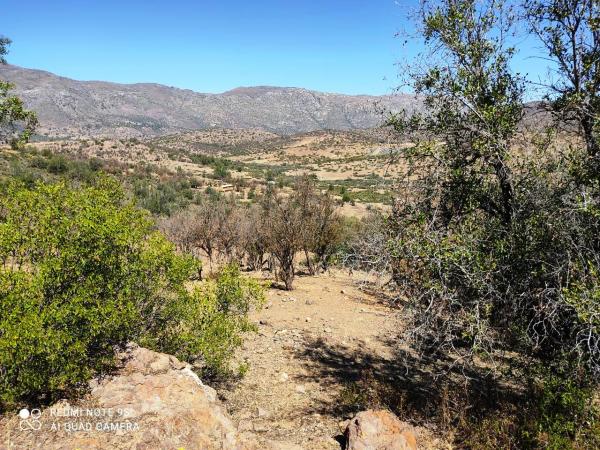 PARCELA EN VENTA EN CATEMU