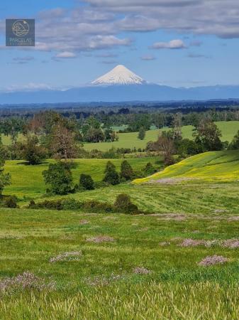 PARCELAS EN FRUTILLAR, VISTA VOLCÁN