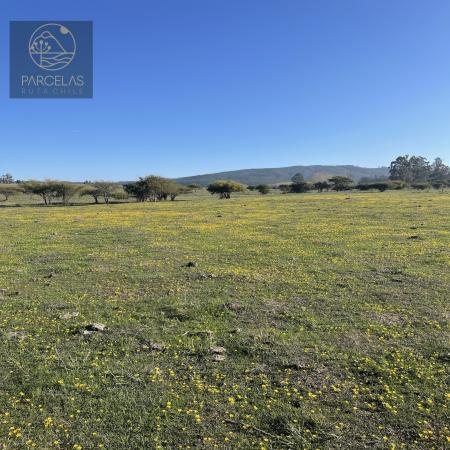 PARCELAS A MINUTOS LAGO Y PLAYA CON ROL 