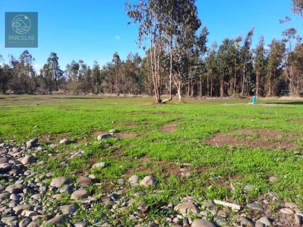 PARCELAS PLANAS A MINUTOS DE CHILLÁN