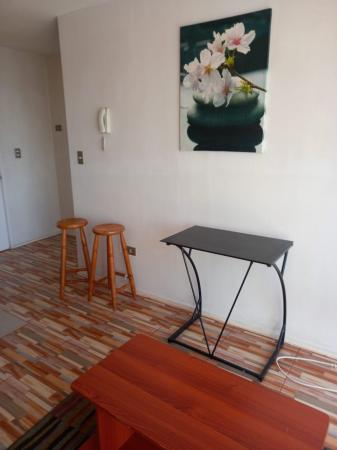 ARRIENDO DEPARTAMENTO AMOBLADO