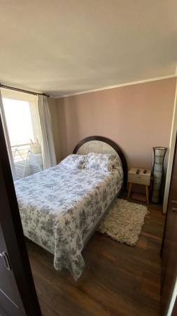 ARRIENDO DEPTO AMOBLADO SANTIAGO CENTRO 