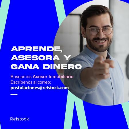 ASESOR INMOBILIARIO