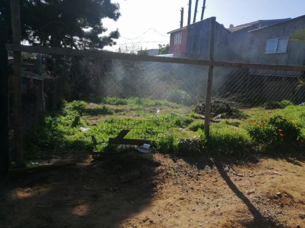 VENDO SITIO EL TABO 200M2 CON LUZ ROL 