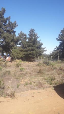 TERRENO EN VENTA EN LA COMUNA DE EL TABO