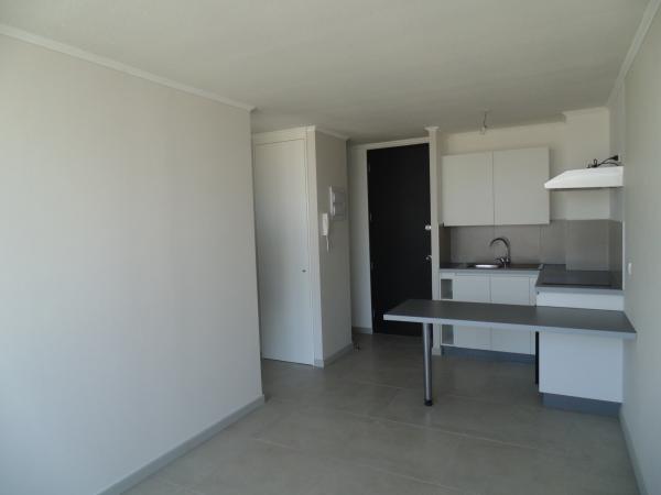 ARRIENDO DPTO 1D/1B SAN MIGUEL