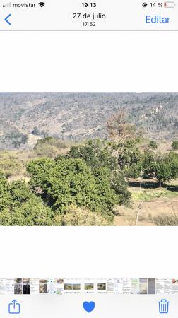 VENTA DE PARCELA, 5000 MT APROX