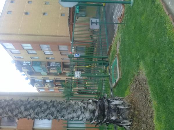 ARRIENDO DEPARTAMENTO
