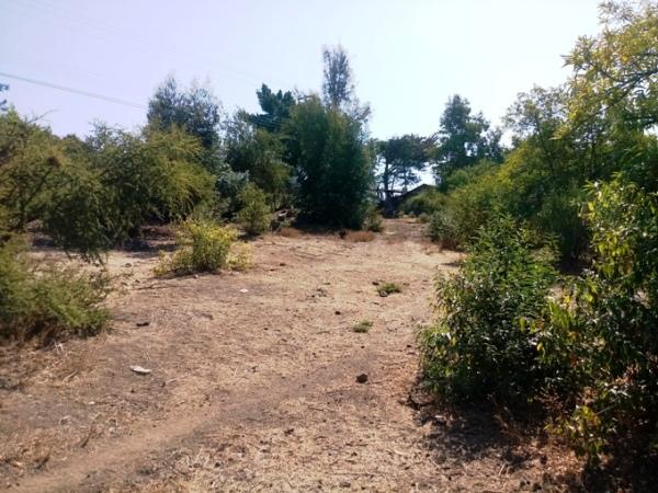 TERRENO RAMAYANA C.DORMIDA OLMUE
