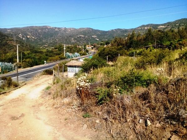 TERRENO, RAMAYANA  C DORMIDA OLMUE
