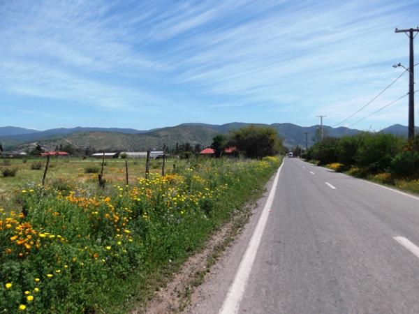 TERRENO MELON LOS NOGALES