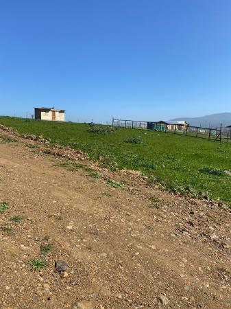 HERMOSOS TERRENOS A TU ALCANSE 