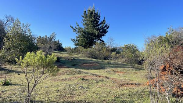 REMATE DE PARCELAS EN SAN JAVIER 5000M2 