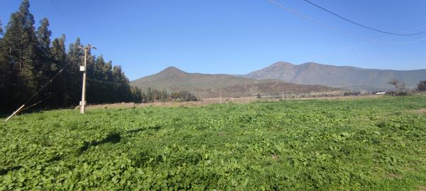 HERMOSAS PARCELAS EN ISLA DE MAIPO