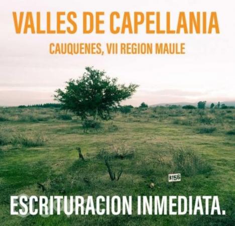 GRAN VENTA DE PARCELAS  5.000 MTS2 A 