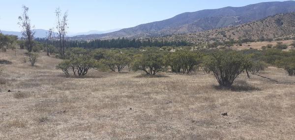 PARCELA EN MELIPILLA ROL PROPIO CAMPIÑA DE MELIPIL
