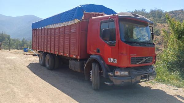VENDO CAMIÓN GANADERO 