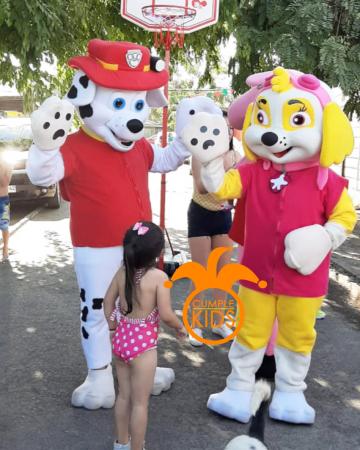 SALUDO EXPRESS DE LOS PAW PATROL