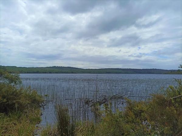 9 PARCELA A ORILLA LAGO LEPUE CHILOÉ