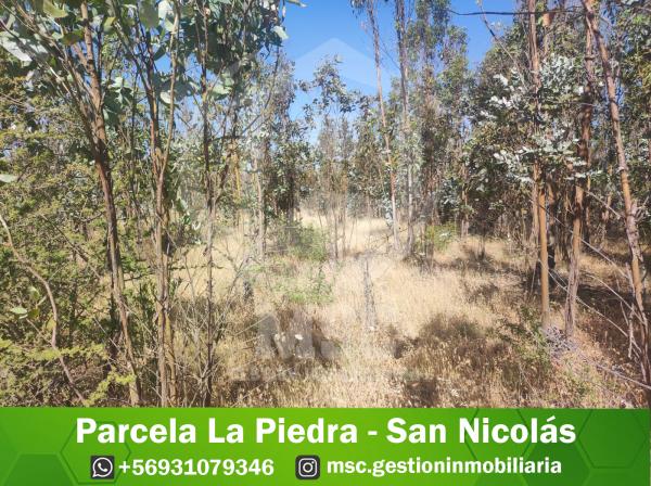 PARCELA SECTOR LA PIEDRA - SAN NICOLÁS