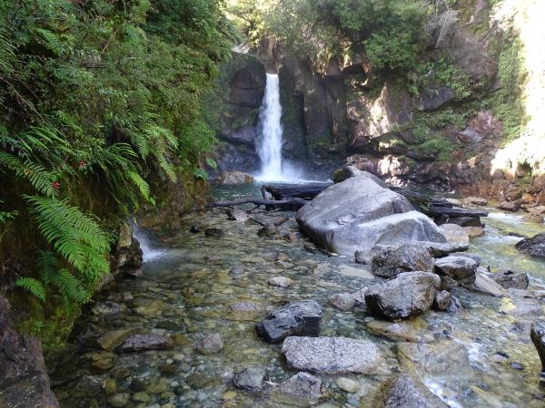 TOURS GUIADOS POR LA REGIÓN DE LOS LAGOS 