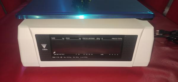 BALANZA DIGI SM 110