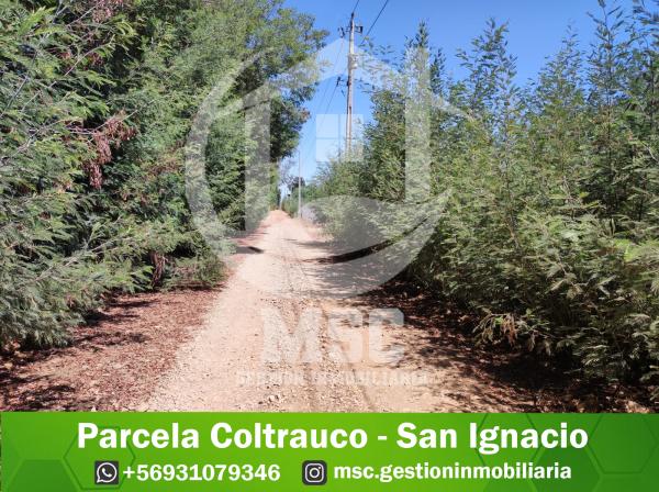 PARCELA COLTRAUCO - SAN IGNACIO
